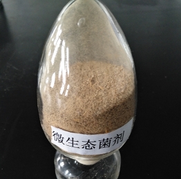 上海芝麻香型白酒高效微生态菌剂