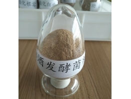 丽江白酒发酵微生态菌剂