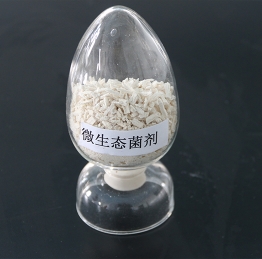 白酒发酵微生态菌剂