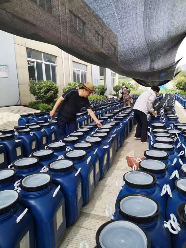 酿酒师的秘密武器：掌握乙酸菌酿酒技巧